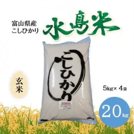 栽培期間中農薬・化学肥料不使用　こしひかり　玄米 5kg×4袋(20kg)【1735081】