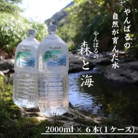 国頭村のおいしい水 やんばるの森と海 2000ml×6本【1732491】