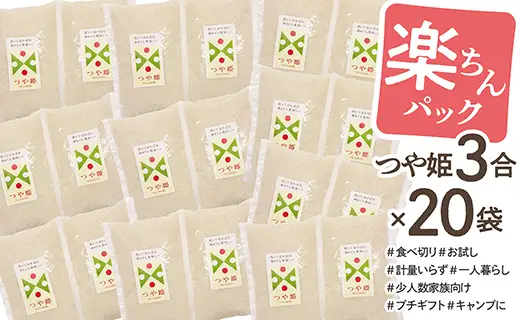 令和7年産 山形県産 つや姫 楽ちんパック 3合×20袋 計9kg