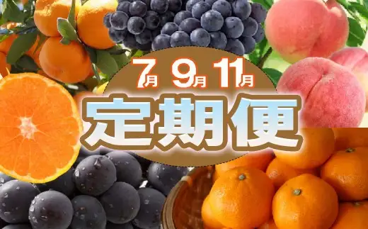 【定期便全3回】産直・和歌山フルーツ定期便（桃・ピオーネ・有田みかん）【TM-tkb413】 