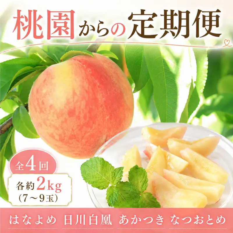 桃園からの定期便 全4回 各約2kg (7～9玉) はなよめ 日川白凰 あかつき なつおとめ