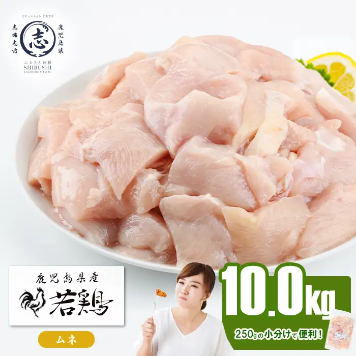 小分けで便利！鹿児島県産若鶏ムネ切身 計10kg(250g×40P) b6-029