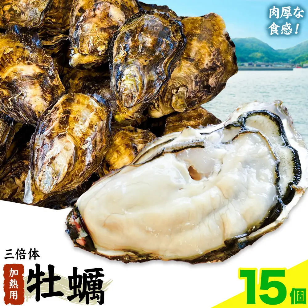 笠岡産 牡蠣 TAKIOKAプレミアム 三倍体 (加熱用) 15個 牡蠣