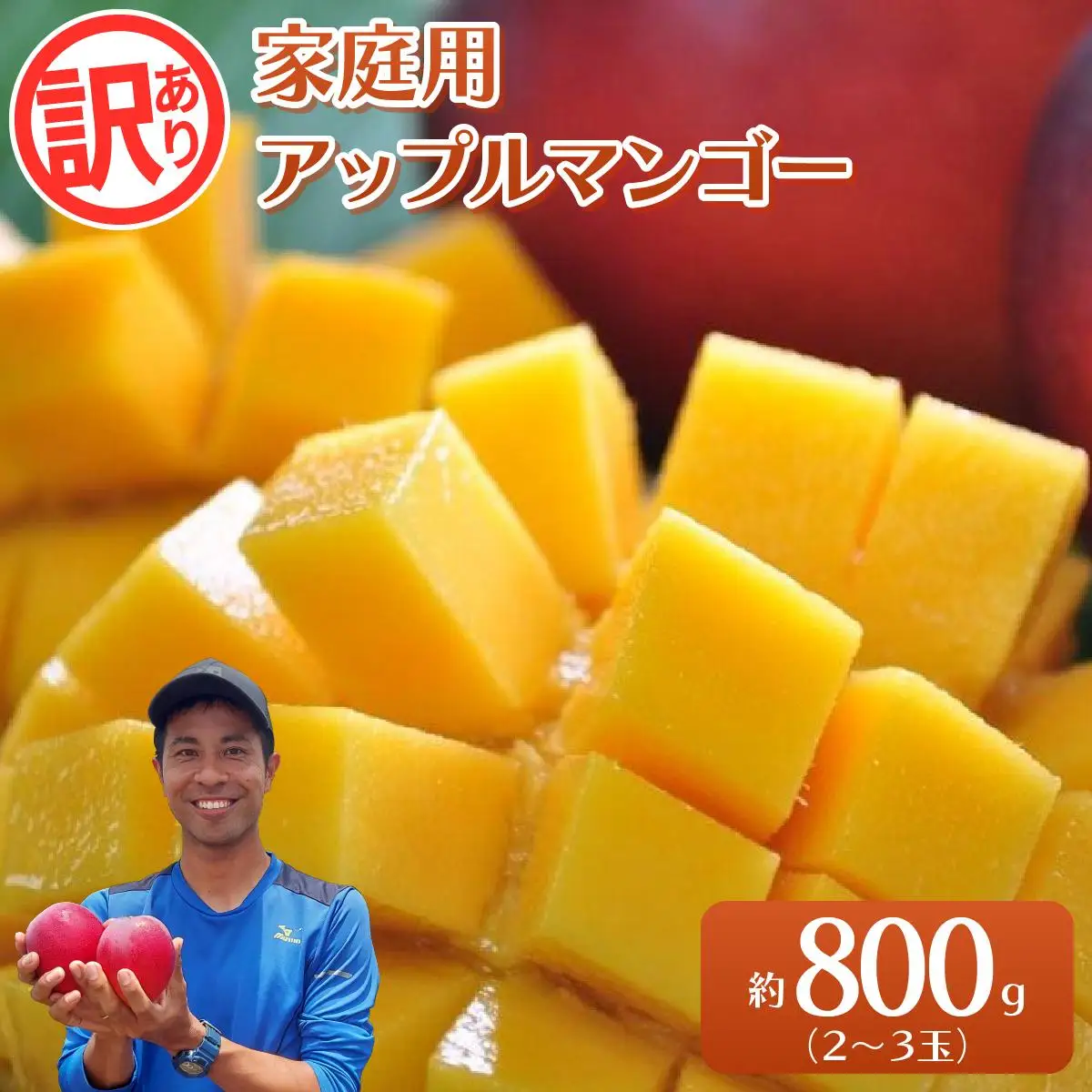2026年 訳あり／家庭用　アップルマンゴー 約800g