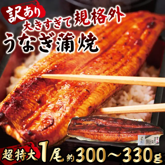 うなぎ 訳あり 1尾 計300g以上 うなぎ 【ho1684】