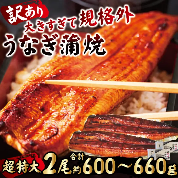＜すぐ届く！＞ うなぎ 訳あり 2尾 計600g以上  うなぎ 【ho1685】