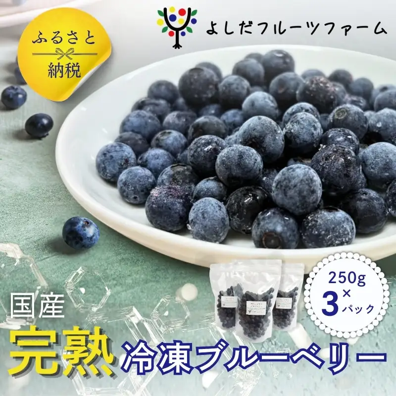 【2026年8月中旬～順次発送】国産 冷凍ブルーベリー 750g (250g×3パック)