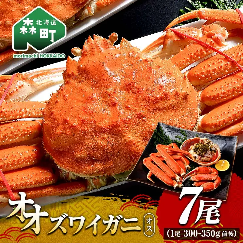 オオズワイガニ オス姿 7尾 300～350g前後×7尾 ＜海鮮問屋　株式会社　瑞宝＞ かに カニ 蟹 ガニ がに 海鮮 森町 北海道 mr1-1370