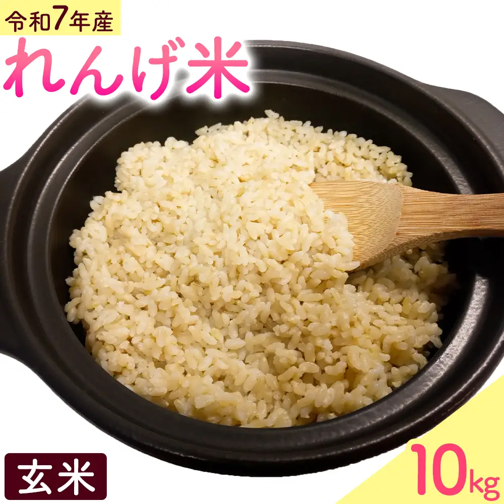 熊本県菊池市産のれんげ米 10kg 《30日以内に出荷予定(土日祝除く)》 精米方法 玄米 お米 レンゲ米 熊本県産 九州産 送料無料