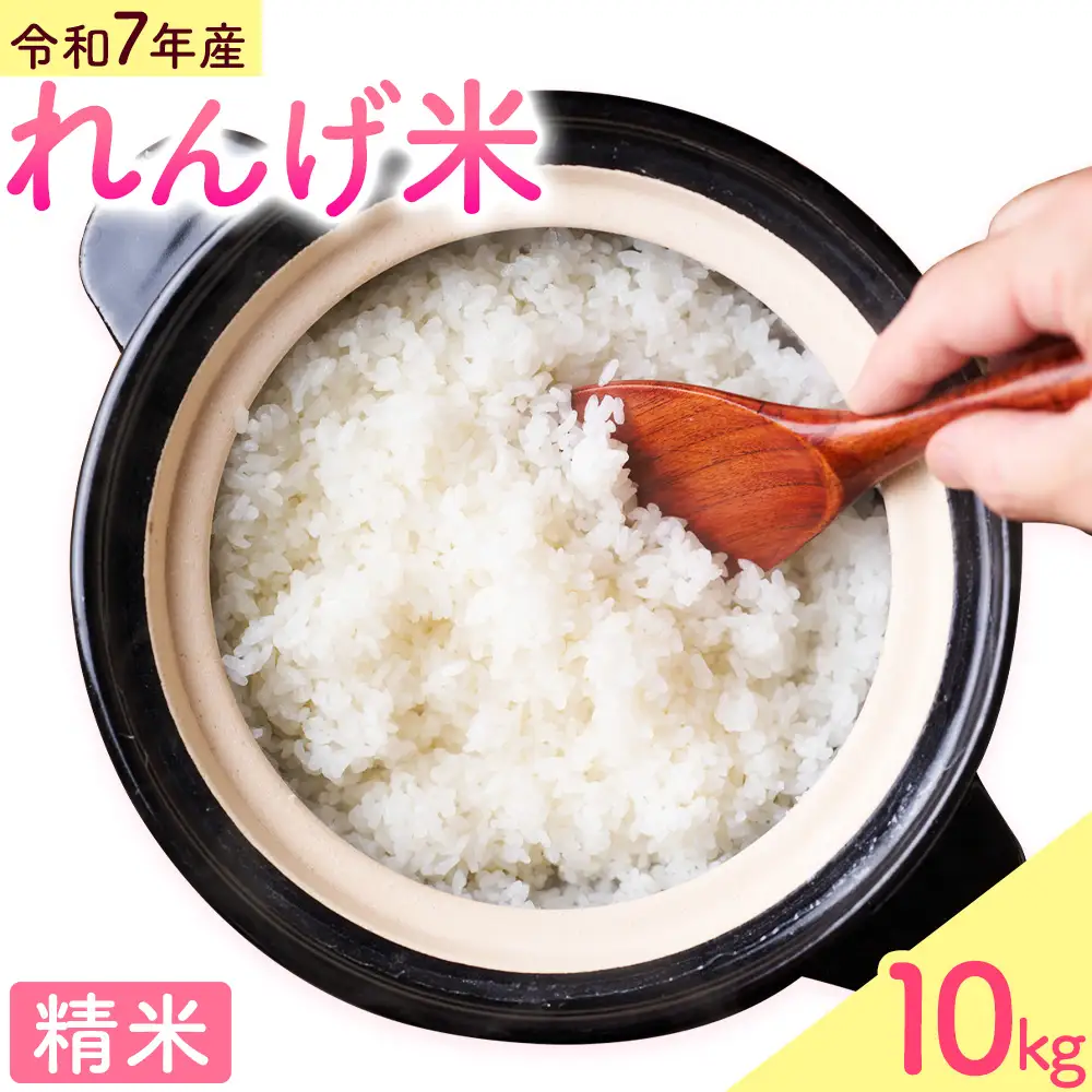熊本県菊池市産のれんげ米 10kg 《30日以内に出荷予定(土日祝除く)》 精米方法 精米 お米 白米 レンゲ米 熊本県産 九州産 送料無料