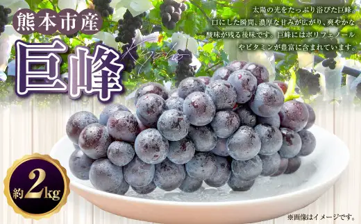 【数量限定】【先行予約】巨峰 約 2kg 果物 くだもの フルーツ ぶどう ブドウ 葡萄 グレープ 冷蔵 熊本 熊本市【2026年8月上旬～9月上旬発送予定】