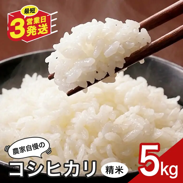 米 5kg 精米 八百津町産コシヒカリ！ 数量限定 Y046-001