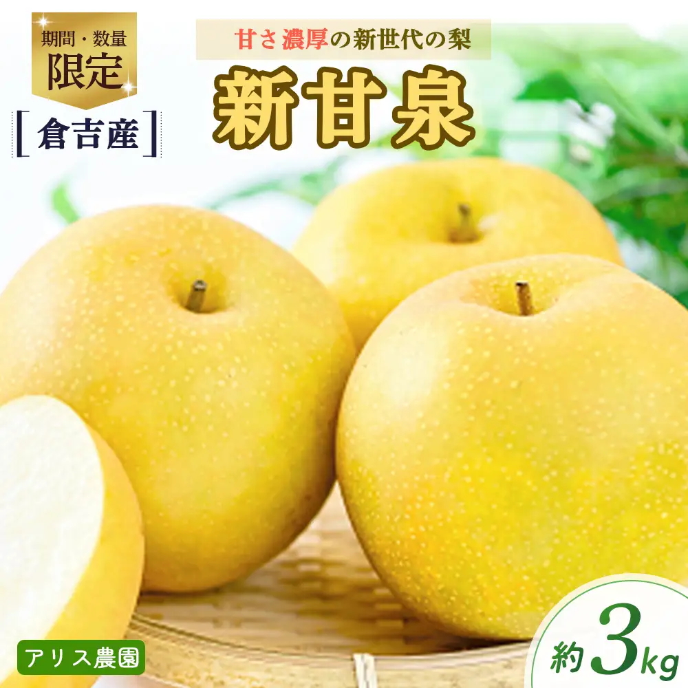 新甘泉3kg 【倉吉産】（アリス農園） 梨 和梨  新甘泉 しんかんせん