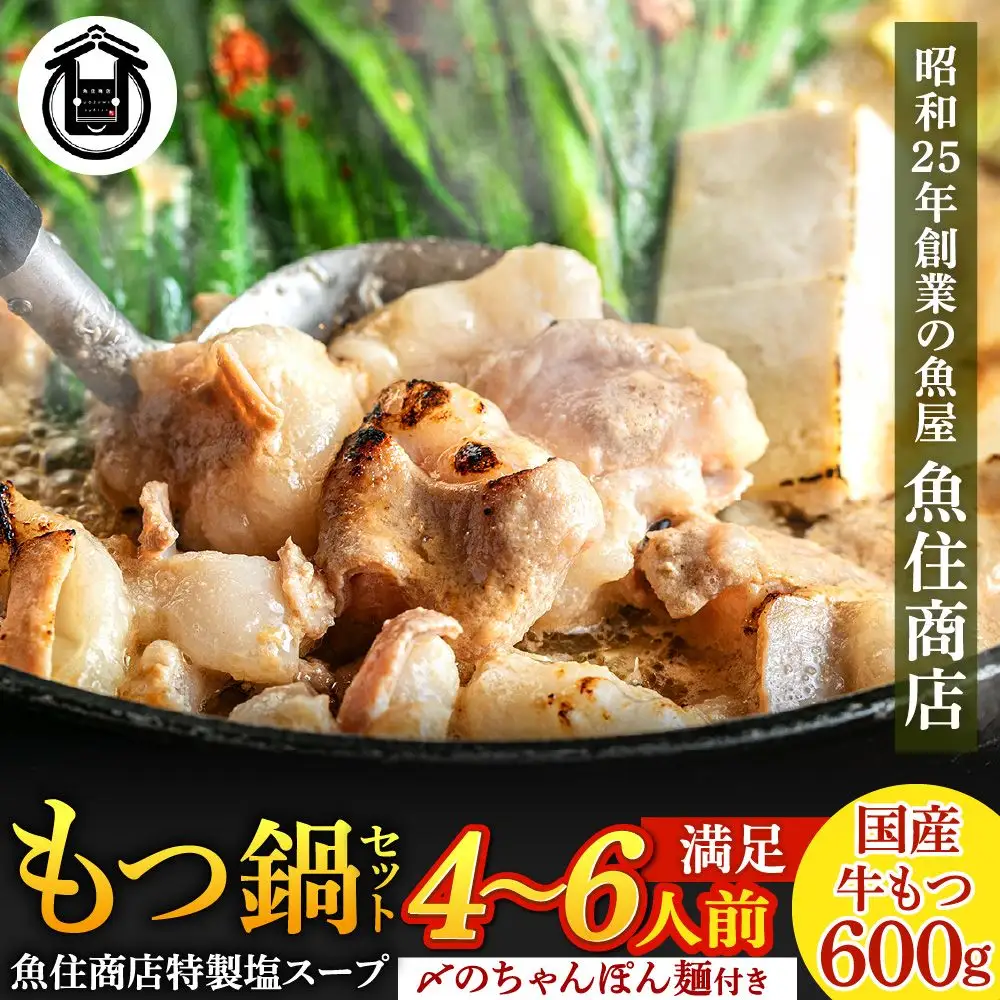 魚住商店特製 国産牛もつ使用 塩もつ鍋セット(4～6人前)【魚住商店】_HA2000 〆のチャンポン麺付き 国産モツ鍋 鍋 ホルモン 肉 もつ 国産もつ鍋 塩もつ鍋 塩モツ鍋 出汁つき 小分け 個包装 冷凍 惣菜 お惣菜 おかず おすすめ 福岡県宗像市