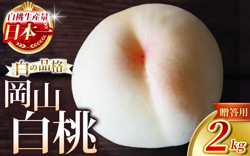 【2026年先行予約】 岡山白桃 2kg 化粧箱入り・贈答用 高級 白桃 花田青果【7月下旬～9月下旬まで順次発送予定】/ 桃 もも モモ 果物フルーツ 贈答品 贈り物 岡山県【hnds001】