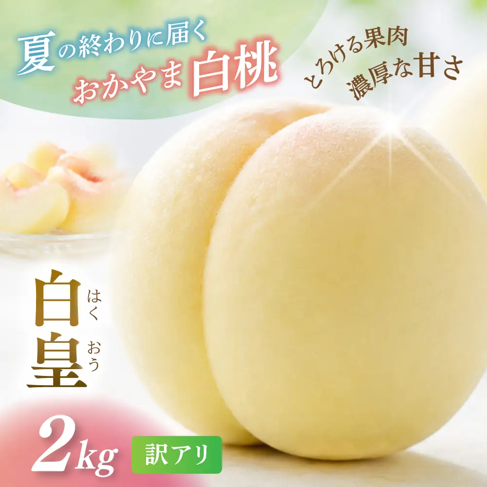 【2026年先行予約】 岡山県産 白皇 2kg 訳アリ はくおう 花田青果【8月中旬～9月初旬まで順次発送予定】【hnds007】