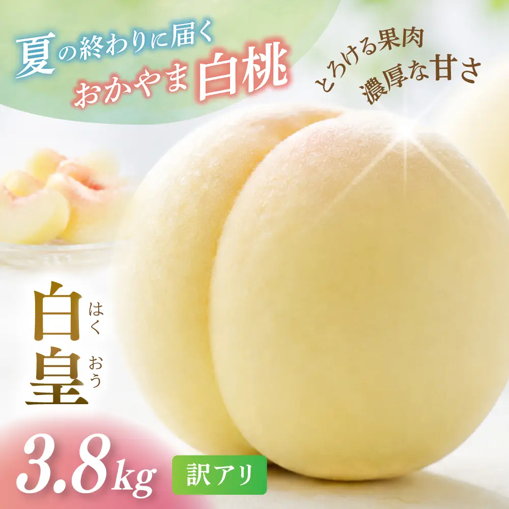 【2026年先行予約】 岡山県産 白皇 3.8kg 訳アリ 白桃 はくおう 花田青果【8月中旬～9月初旬まで順次発送予定】/ 桃 もも モモ 果物フルーツ 訳あり品 岡山県【hnds008】