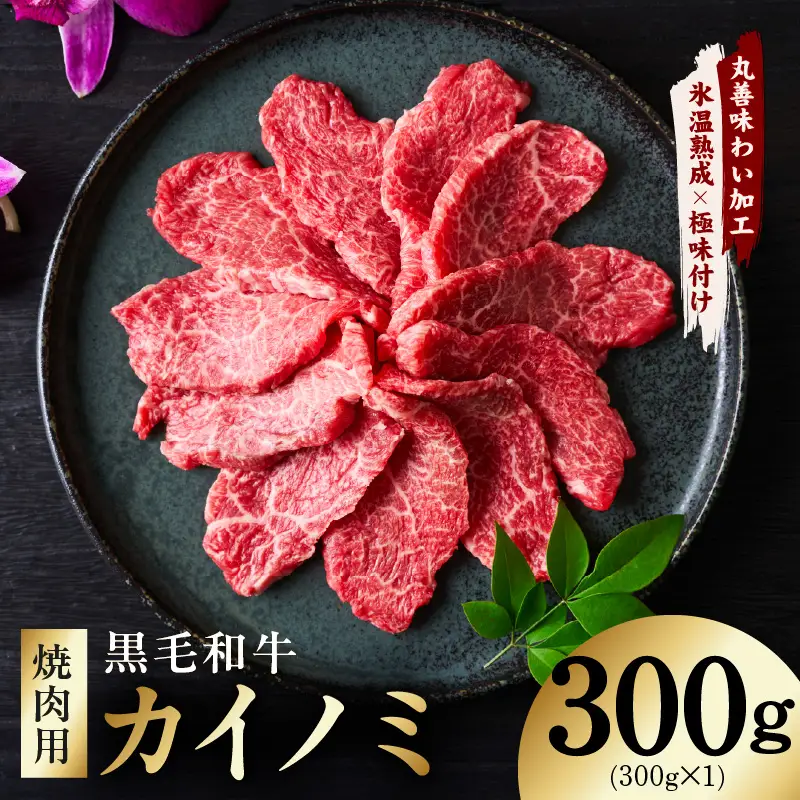 【氷温熟成×極味付け】黒毛和牛 カイノミ 焼肉用 300g