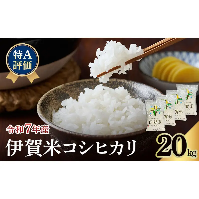 令和6年度産 伊賀米コシヒカリ 20kg 精米 【公式通販】