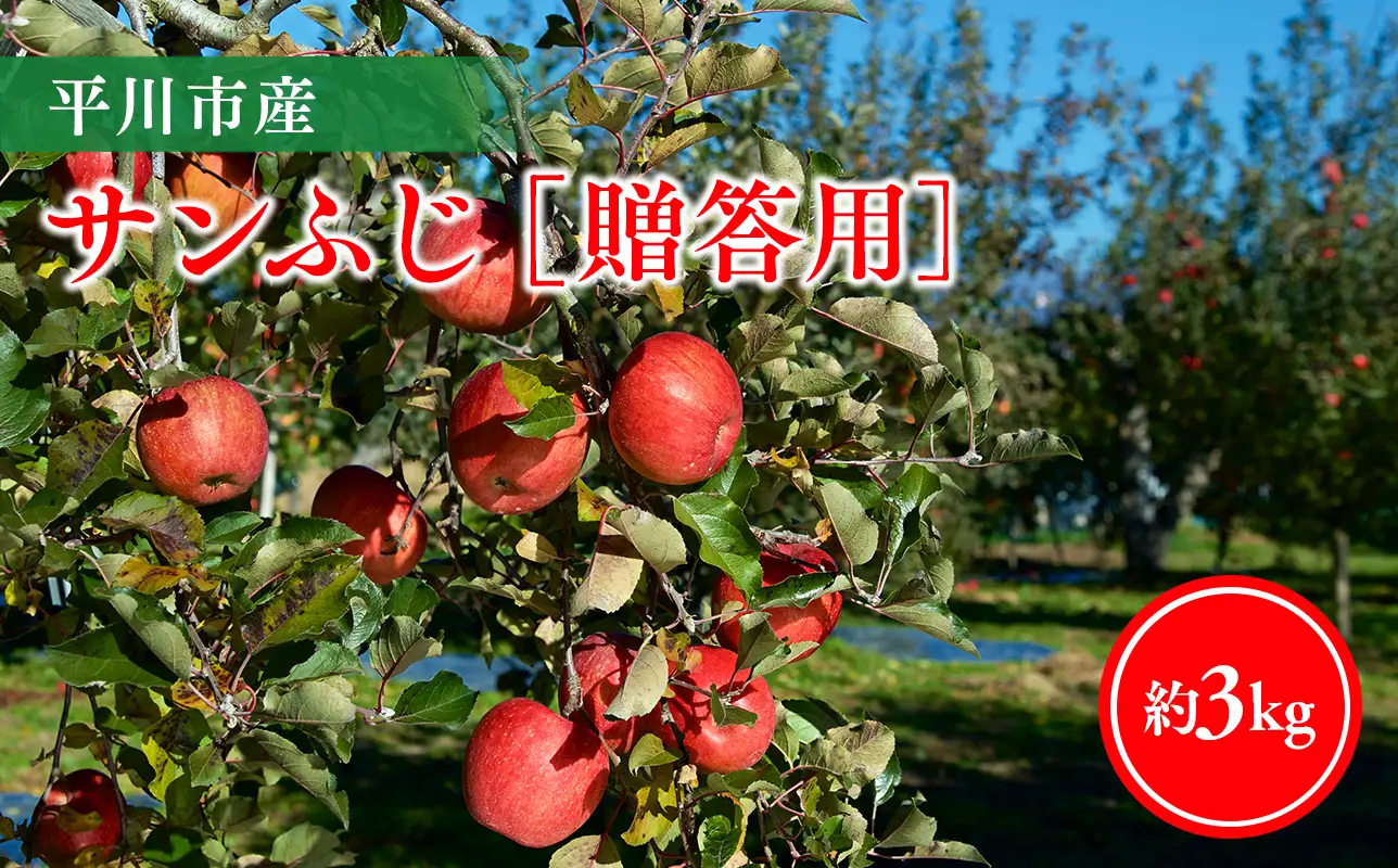 【11月下旬～順次発送】贈答用サンふじ3kg【今井農園】≪hi-0064-008≫