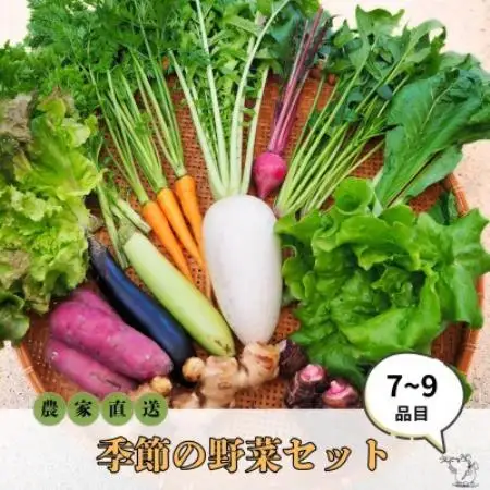 【農家直送】なるべく自然に近い環境で栽培した「季節のおまかせ野菜セット』(7～9品)【配送不可地域：離島】【1705543】