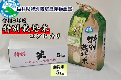 【先行予約】令和8年産 特別栽培米コシヒカリ 5kg×1袋（無洗米） 【2026年9月29日より順次発送】 [A-005011]