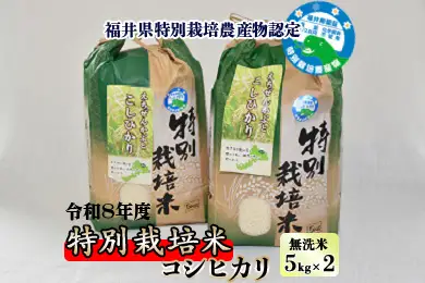 【先行予約】令和8年産 特別栽培米コシヒカリ 5kg ×2袋（無洗米） 【2026年9月29日より順次発送】 [B-005012]