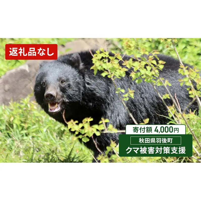 【返礼品なし】クマ被害対策支援（秋田県羽後町）4,000円 応援 支援 寄附のみ【羽後町ふるさと納税】
