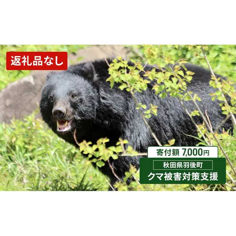 【返礼品なし】クマ被害対策支援（秋田県羽後町）7,000円 応援 支援 寄附のみ【羽後町ふるさと納税】