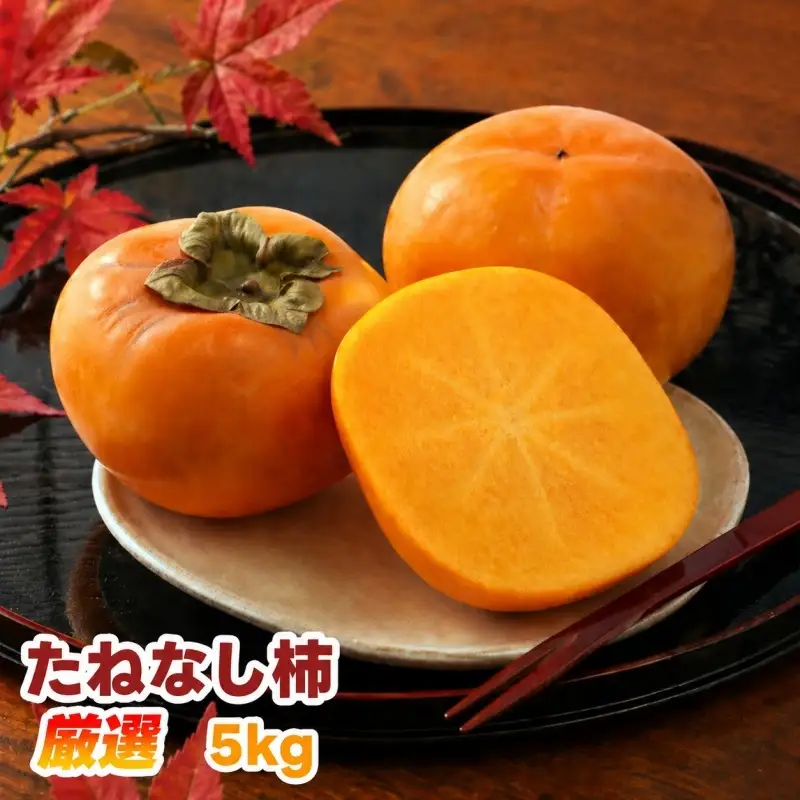 たねなし柿 5kg 厳選 / 柿 刀根早生 平核無柿 富有柿 ※2026年9月下旬から11月上旬に順次発送 ※北海道・沖縄・離島への配送不可  【ikd504-p-5】