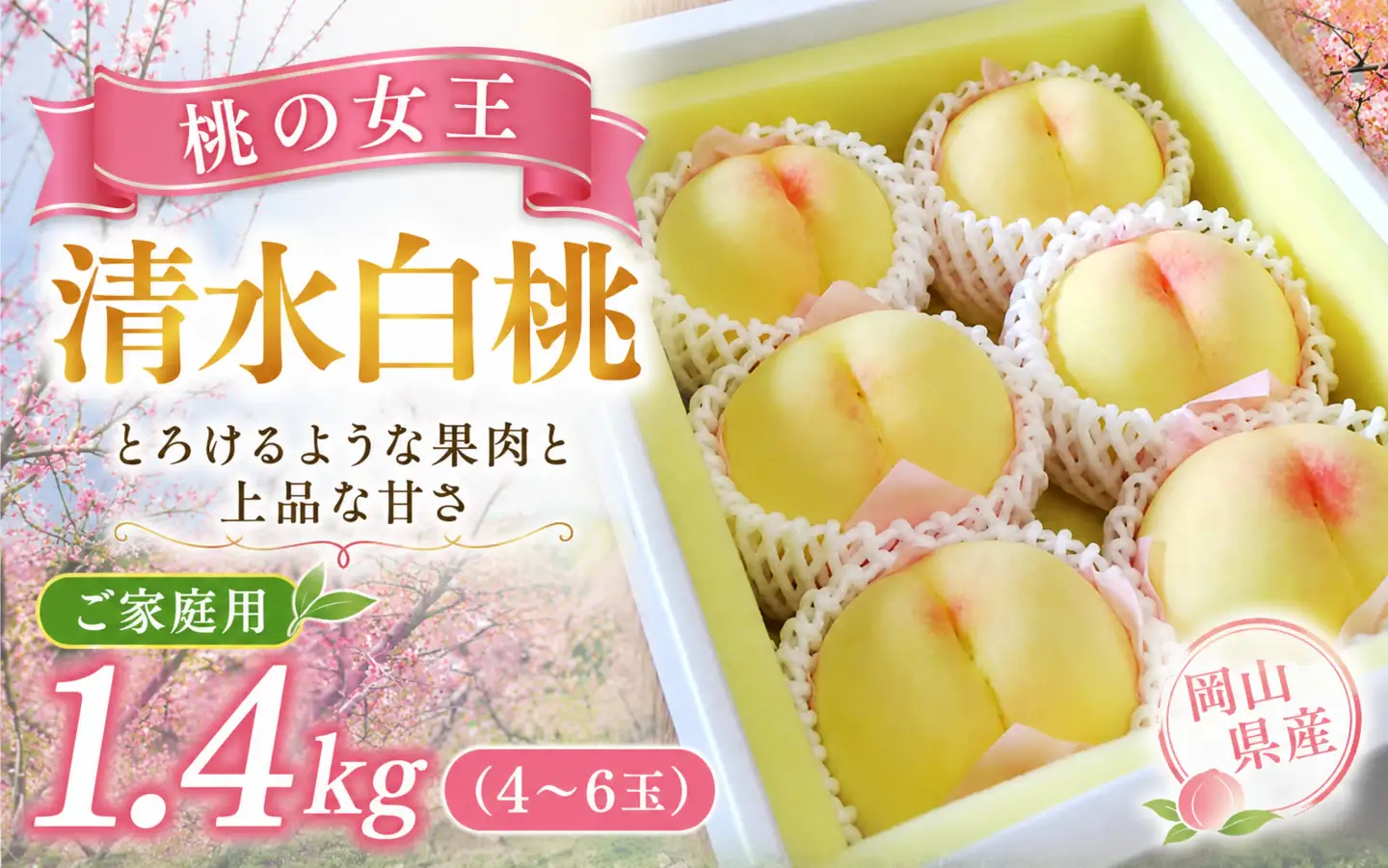 【2026年先行予約】桃 清水白桃 約1.4kg（4～6玉）岡山県産 ご家庭用 もも 白桃 フルーツ 果物 きびもも園【kbmm001】