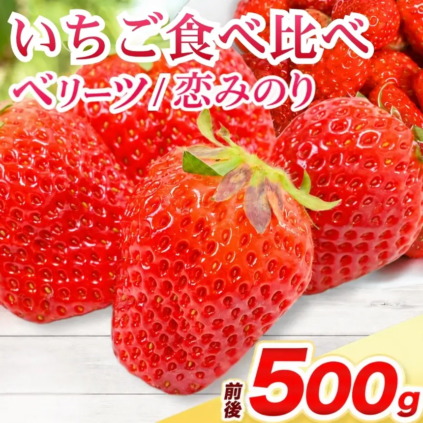 ベリーツ ・ 恋みのり 食べ比べセット 各250g ( 約500g ) | いちご ベリー フルーツ 果物 産地直送 大分県 中津市