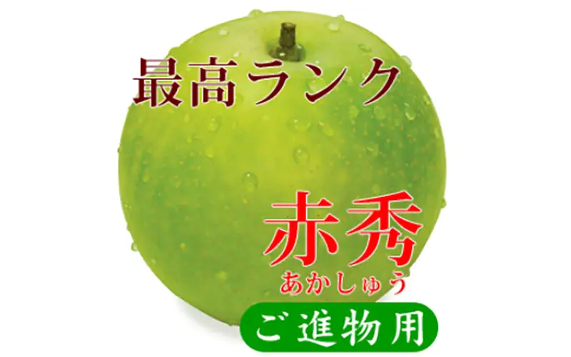 MS-111　鳥取県産 二十世紀梨 “赤秀” 3kg （8〜9玉/4L～3Lサイズ）
