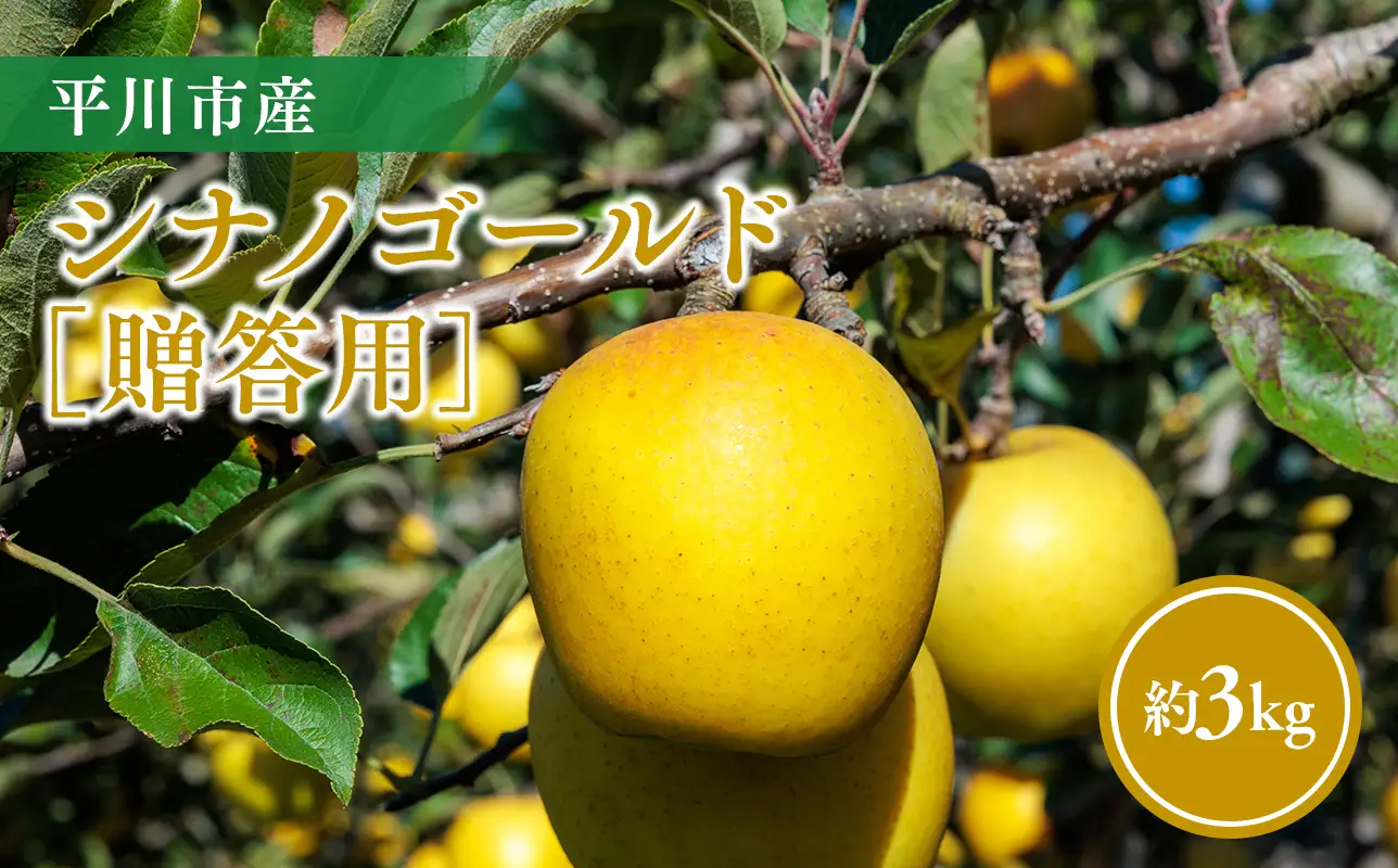 【11月～順次発送】贈答用シナノゴールド3kg【今井農園】≪hi-0064-014≫
