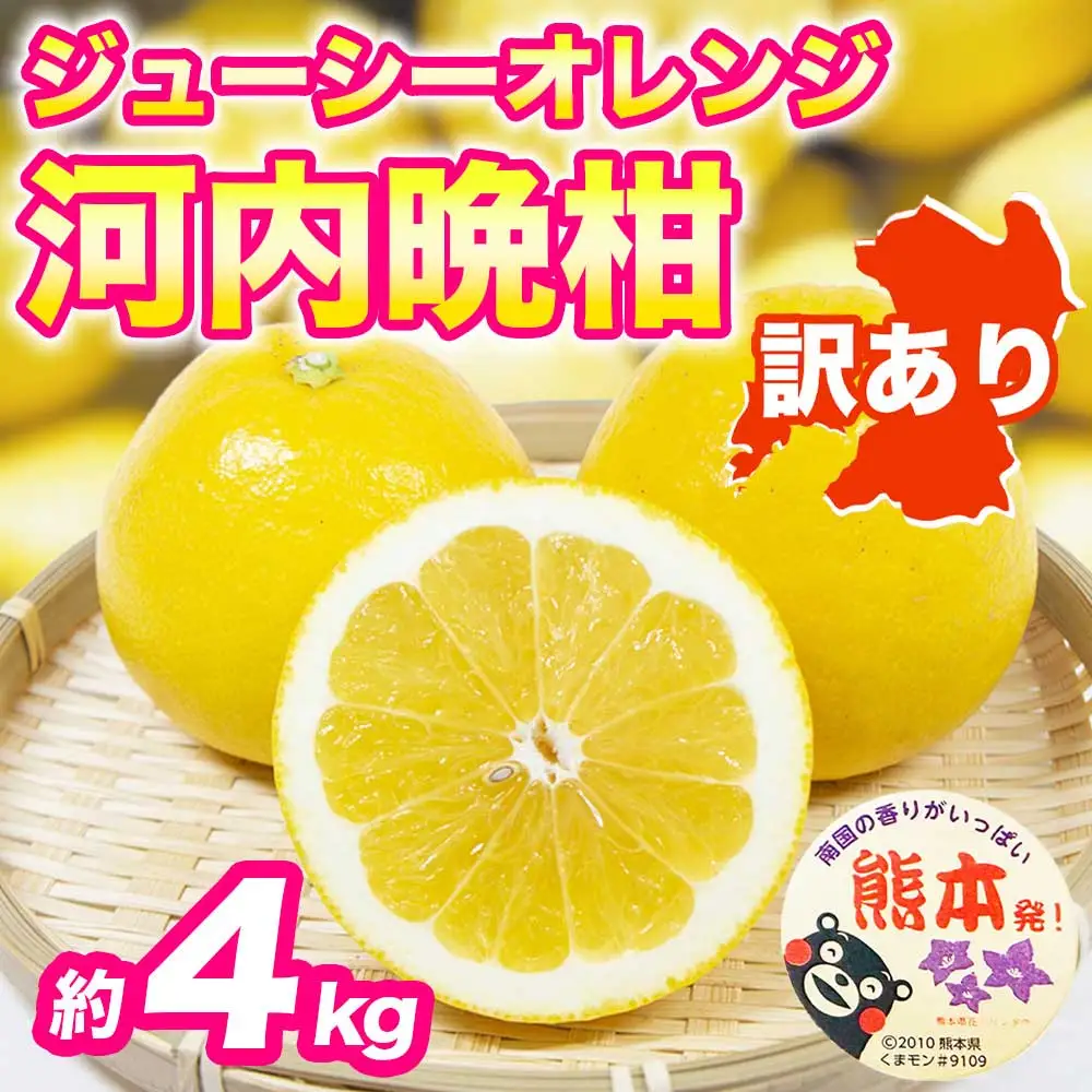 先行予約 訳あり 河内晩柑 ジューシーオレンジ みかん 約4kg 【2027年3月上旬～4月中旬配送予定】