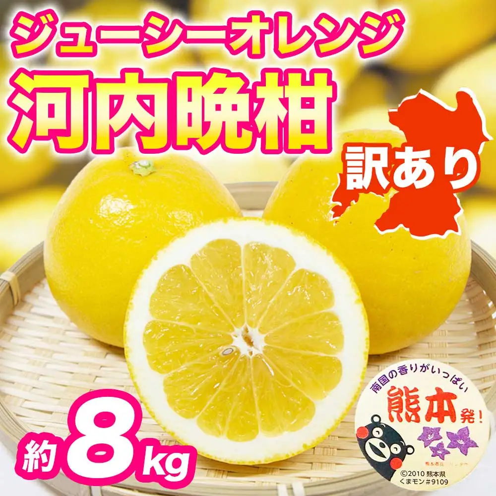 先行予約 訳あり 河内晩柑 ジューシーオレンジ みかん 約8kg 【2027年3月上旬～4月中旬配送予定】