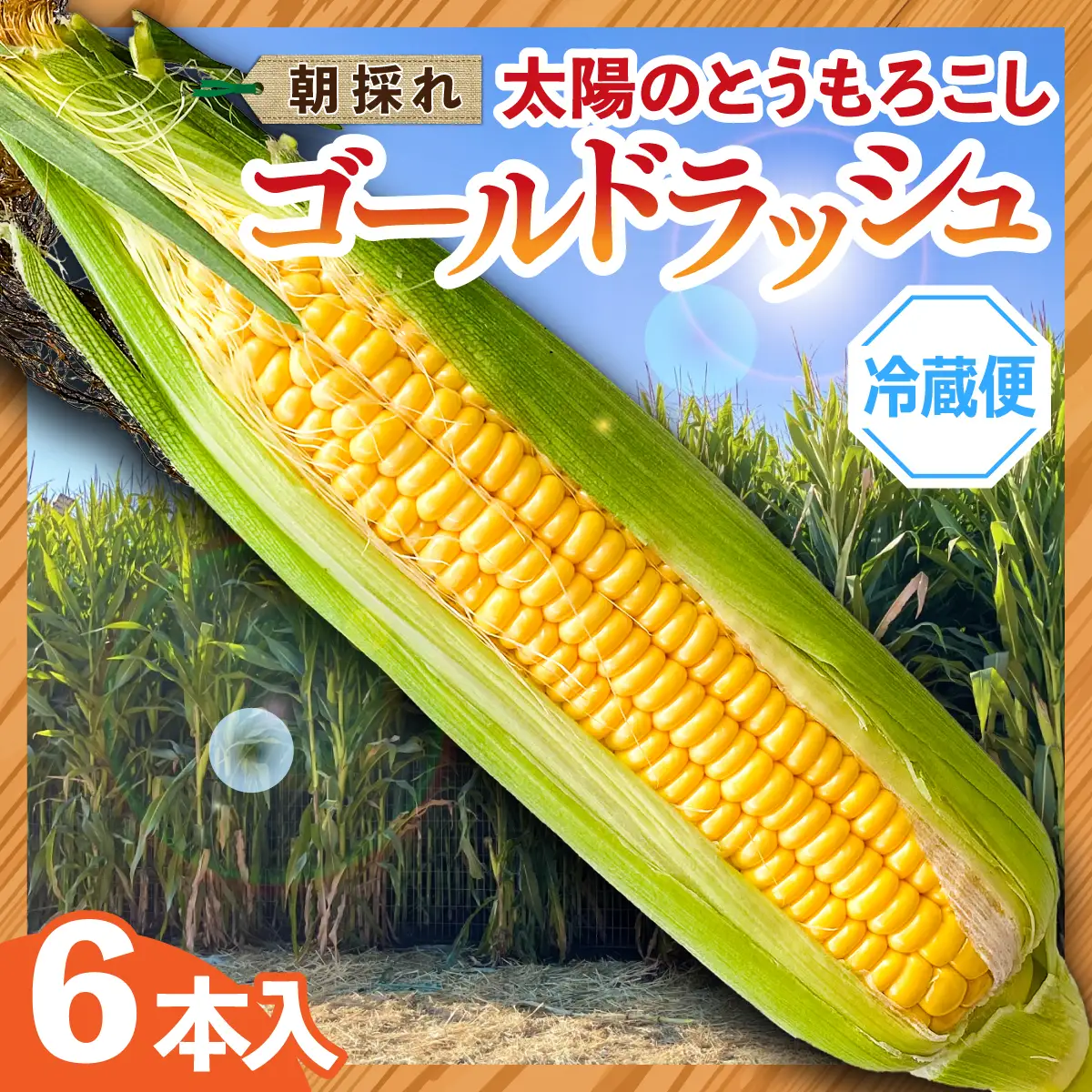 太陽のとうもろこし 【ゴールドラッシュ】 6本セット | とうもろこし