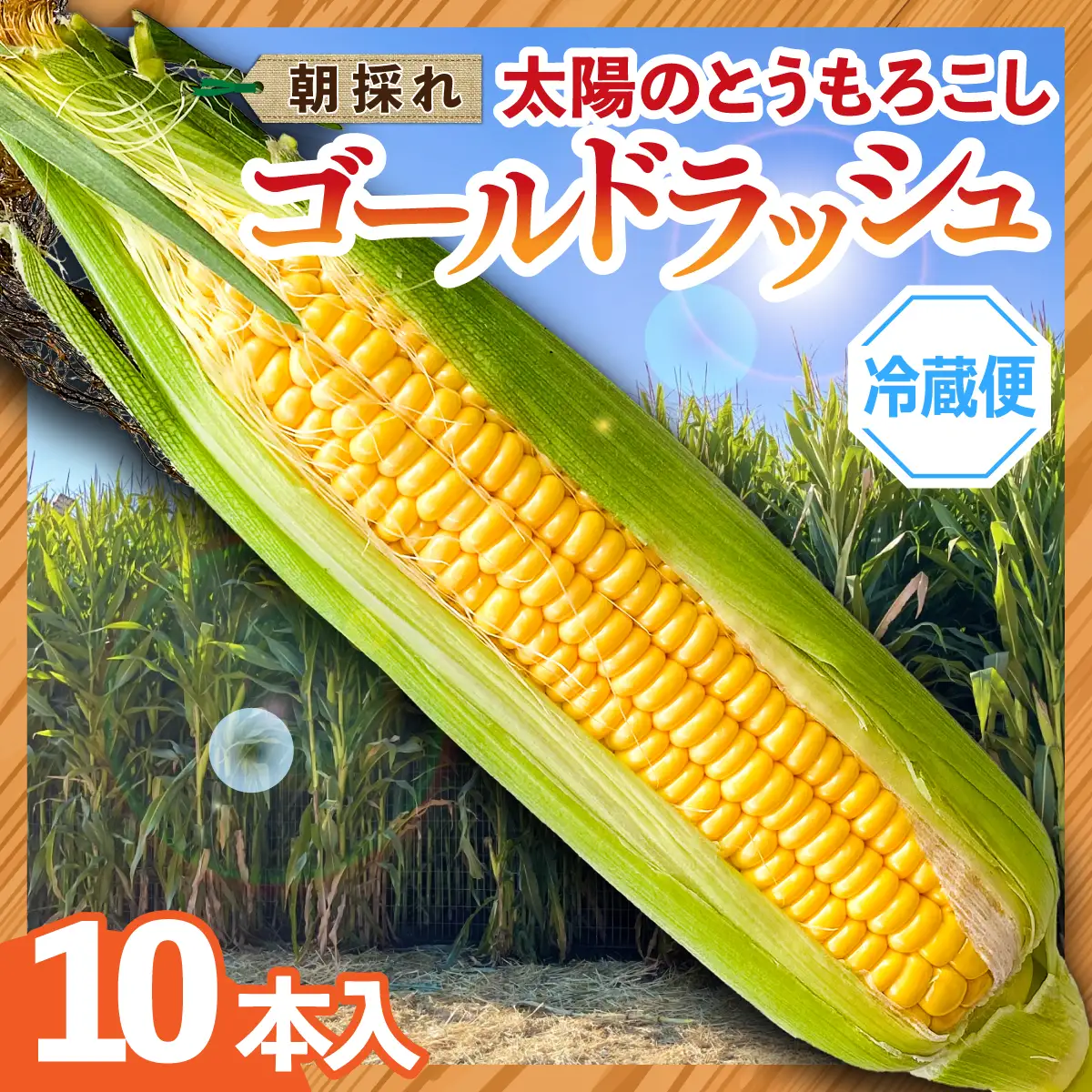 太陽のとうもろこし 【ゴールドラッシュ】 10本セット | とうもろこし