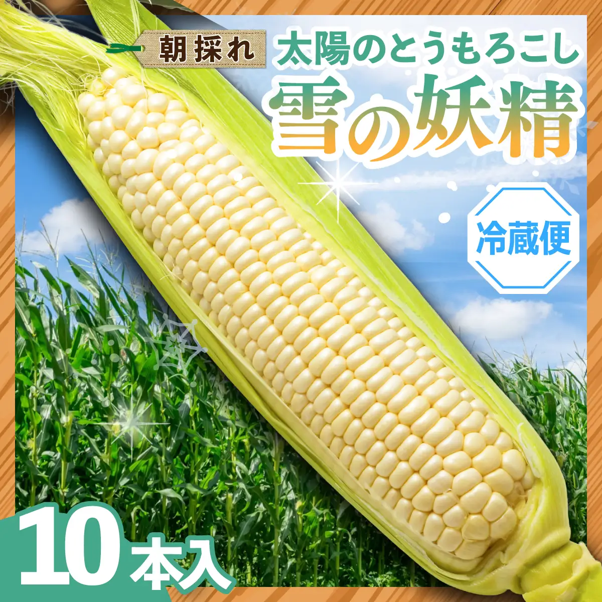 太陽のとうもろこし 【雪の妖精】 10本セット | とうもろこし