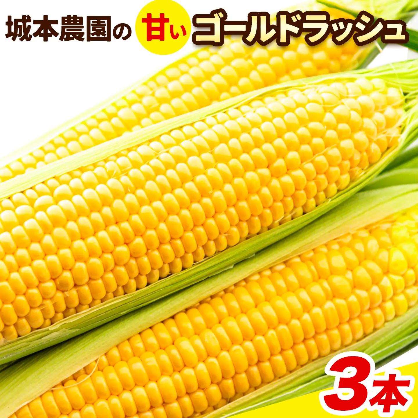《先行受付開始》産地直送 とうもろこし 朝採れ スイートコーン ゴールドラッシュ 3本セット 城本農園《2026年7月中旬-8月中旬頃出荷》