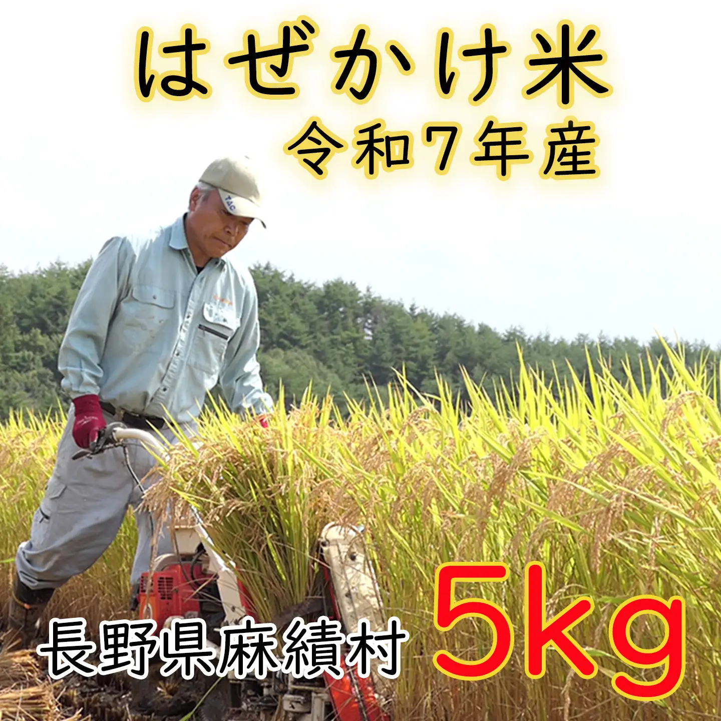 信州麻績産 はぜかけ米 数量限定 期間限定 5kg 自然乾燥 コシヒカリ 5kg 長野県 信州 麻績村 麻績