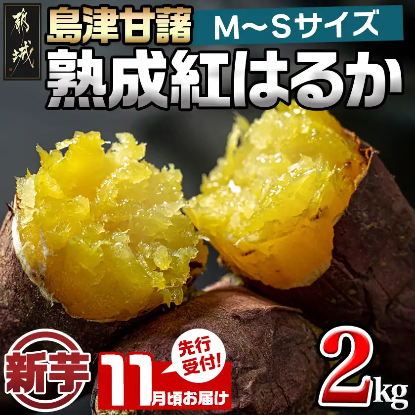 先行受付!【11月お届け】島津甘藷　熟成紅はるか 2kg(M～S)〔LB-A7-001-2kg-11〕_(都城市) さつまいも 幻のサツマイモ 幻の品種 紅はるか 2kg M～S べにはるか 生芋 ベジエイト 熟成 芋 定番 焼き芋 アウトドア