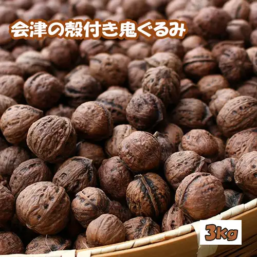 殻つき 会津の鬼ぐるみ３kg