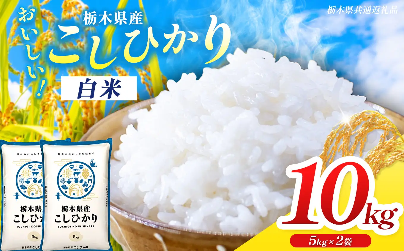 【栃木県共通返礼品】令和7年度産 コシヒカリ 10kg | 栃木県 那珂川町 送料無料