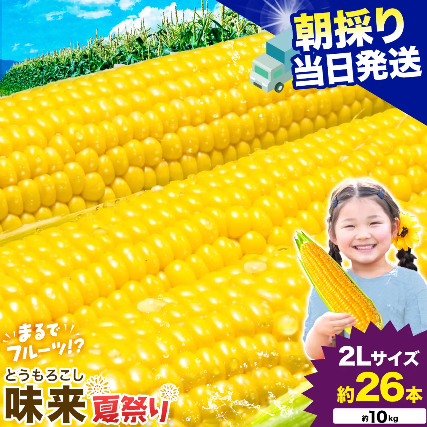 とうもろこし味来 夏祭り 約10kg 野菜 トウモロコシ