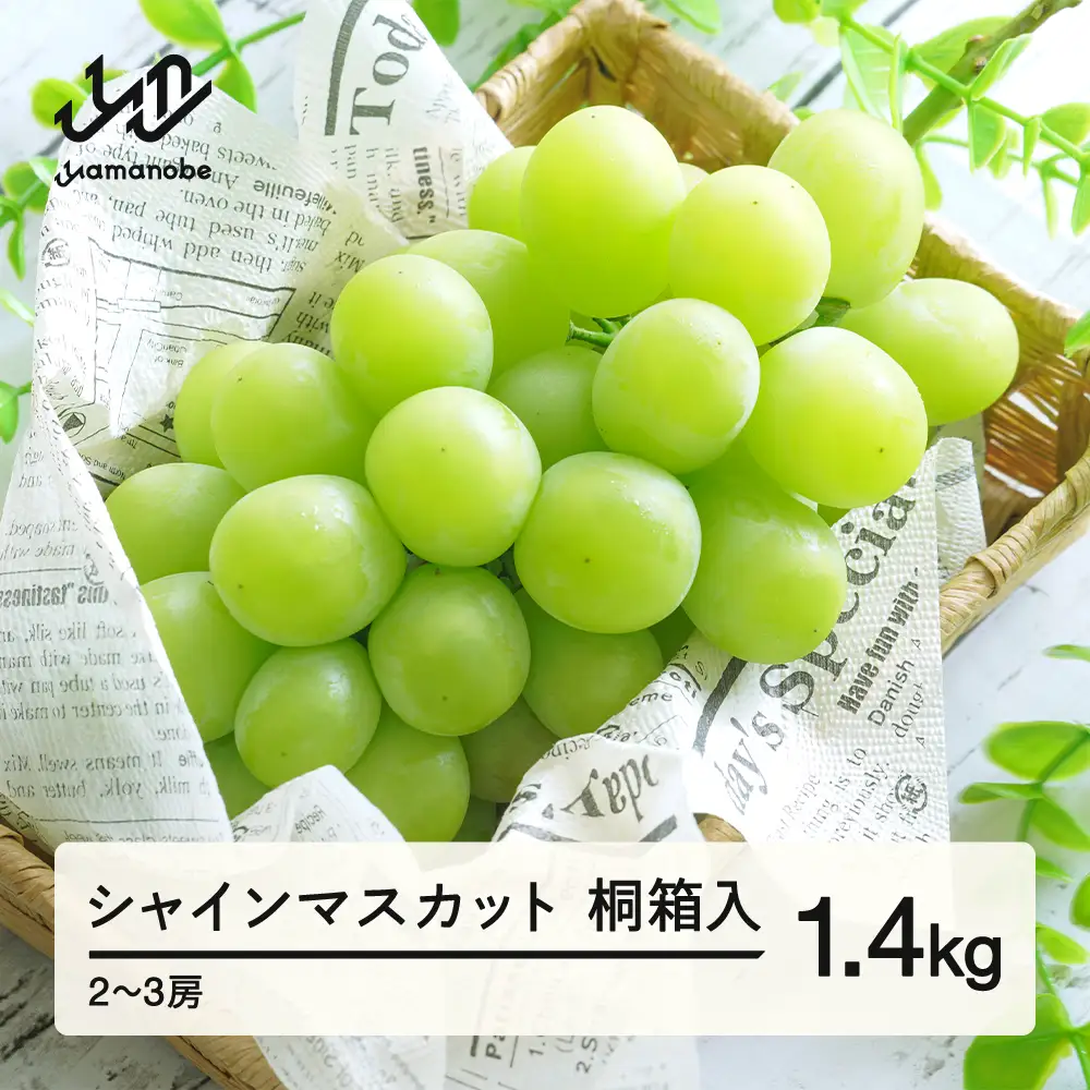【先行予約】シャインマスカット 秀品 桐箱入り1.4kg 令和8年産 2026年産 果物 ※沖縄・離島への配送不可 mm-busmk3