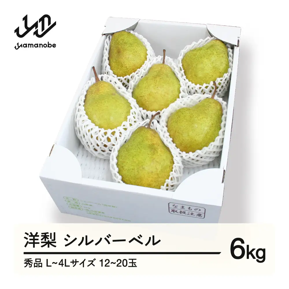 【先行予約】シルバーベル L~4L 秀品 6kg(3kg×2箱) 洋梨 令和8年産 2026年産 果物 ※沖縄・離島への配送不可 mm-sbsxx6