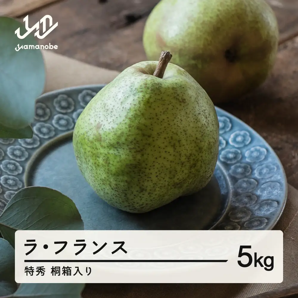 【先行予約】ラ・フランス 洋梨 ラフランス 5kg 特秀品 桐箱入 令和8年産 2026年産 果物 ※沖縄・離島への配送不可 mm-latsk5000