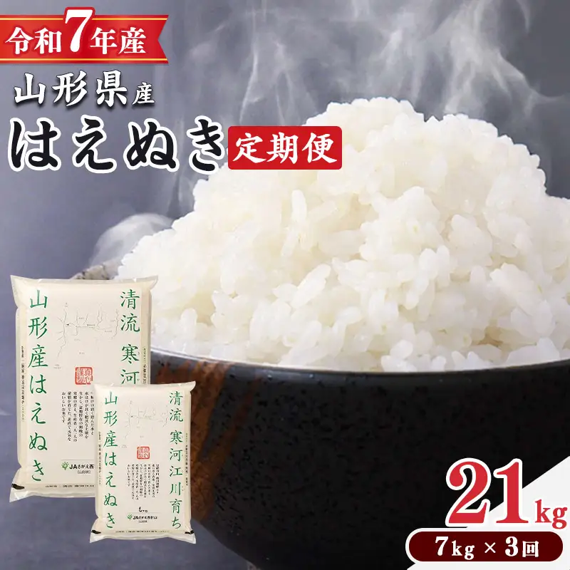 ＜ 2026年7月中旬より毎月3回 ＞【令和7年産 定期便】はえぬき計21kg！お米 定期便（7kg×3回）！清流寒河江川育ち 山形産はえぬき 2025年産　048-C-JA060-202607毎