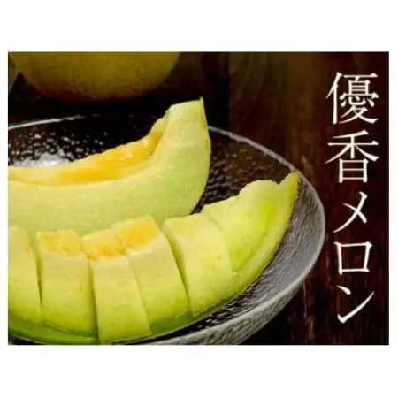 数量限定!こだわり農家さんの希少な優香メロン【6L×1】【配送不可地域：離島・北海道・沖縄県・東北】【1735401】